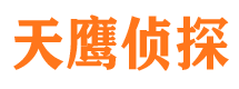 霞山市侦探调查公司